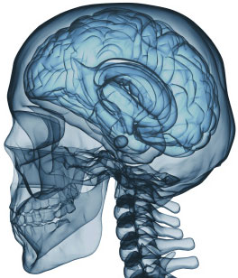 cape medical billing neurosurgery billing cape medical billing neurosurgery billing